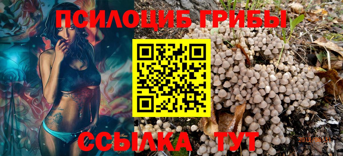 хочу наркоту  Вход с VPN  Десногорск  Псилоцибиновые грибы MAGIC MUSHROOMS 