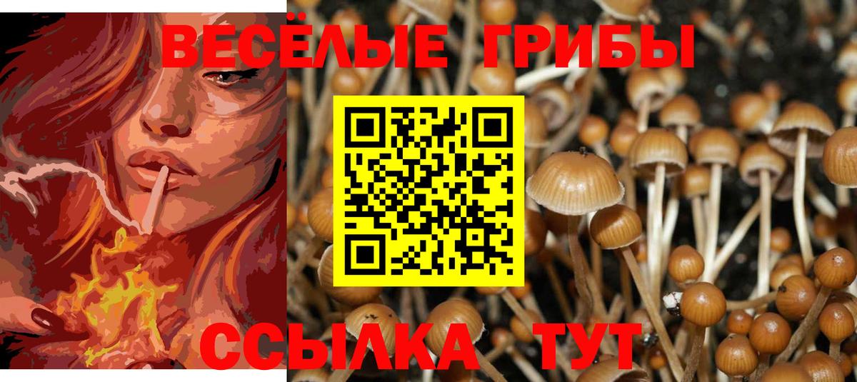 Псилоцибиновые грибы MAGIC MUSHROOMS Десногорск